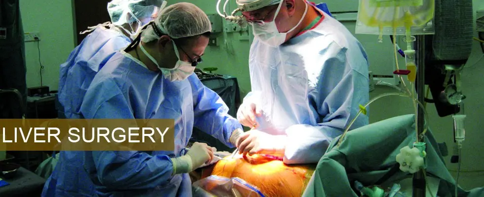 Liver Surgery