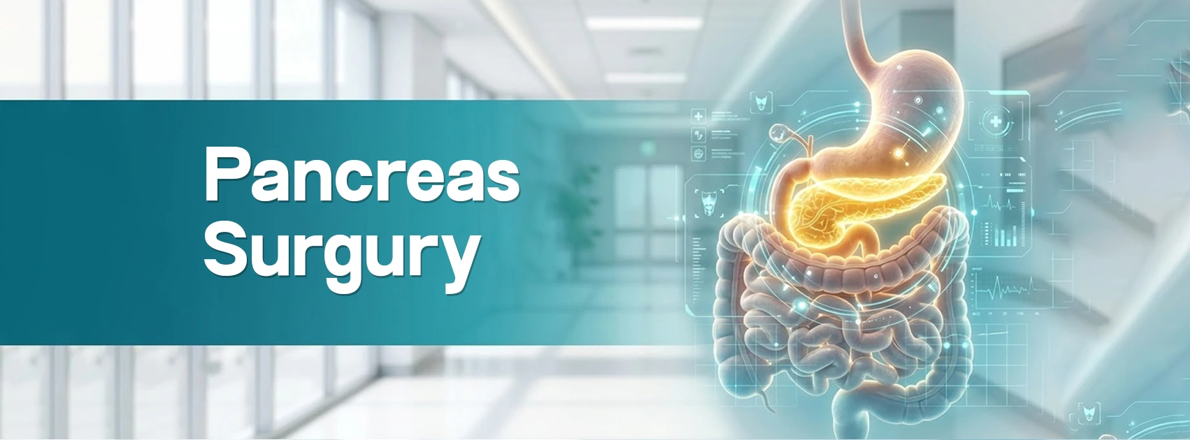 Pancreas Surgery